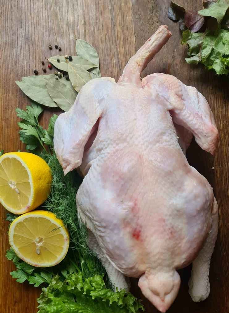 KURCZAK BIO - TUSZKA ok.1,7kg - Zagroda Łącka