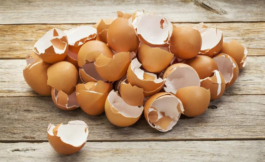 Skorupki Jaj: Ekologiczne Właściwości w Zgodzie z Domem i Ogrodem