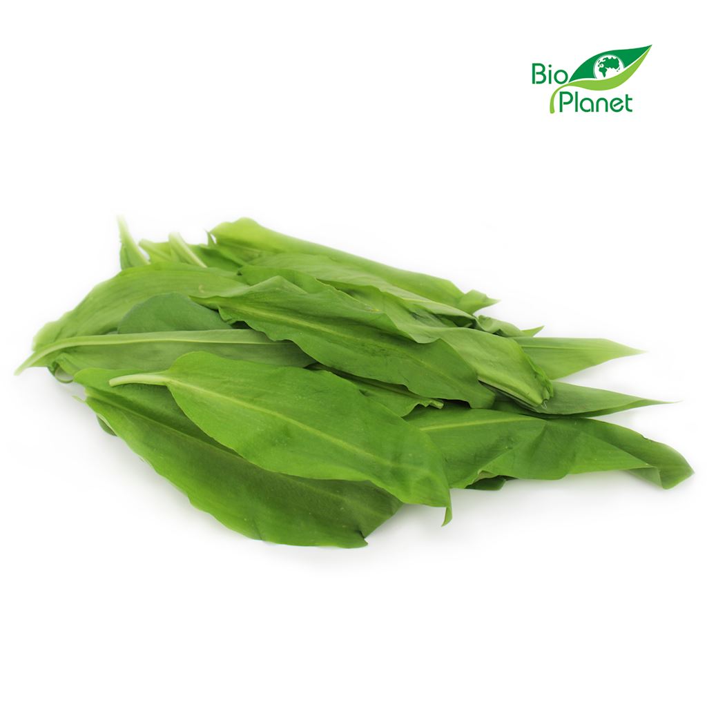 CZOSNEK NIEDŹWIEDZI ŚWIEŻY BIO (POLSKA) (około 50 g)