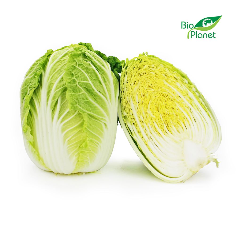 KAPUSTA PEKIŃSKA ŚWIEŻA BIO (około 0,80 kg)