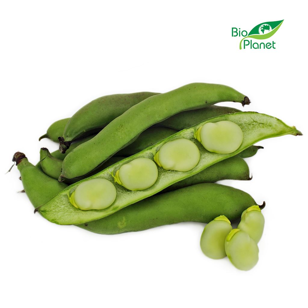 OPAKOWANIE ZBIORCZE (kg) - BÓB ŚWIEŻY BIO (około 4 kg)